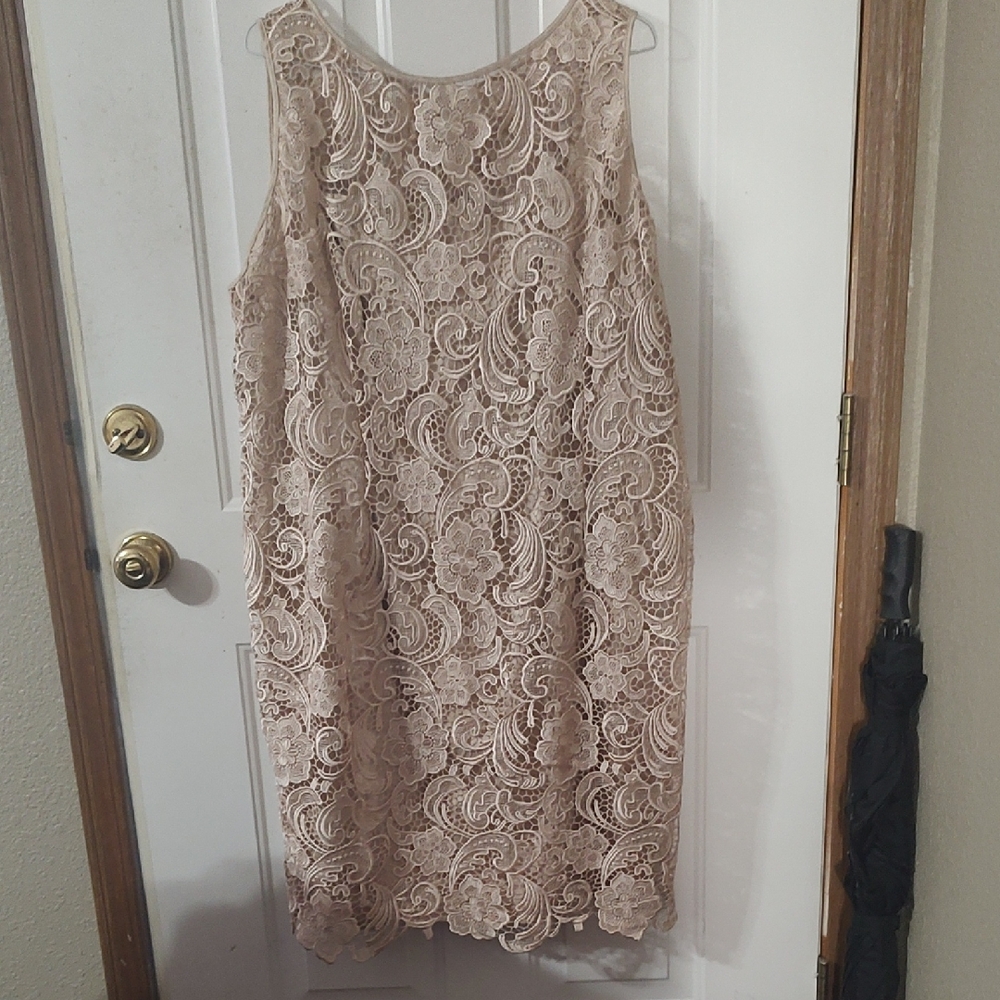 Adrianna Papell Lace Mini Dress - Cream